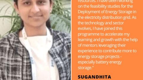 Sugundhita Wadhera Energy Storage Quote