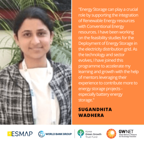 Sugundhita Wadhera Energy Storage Quote