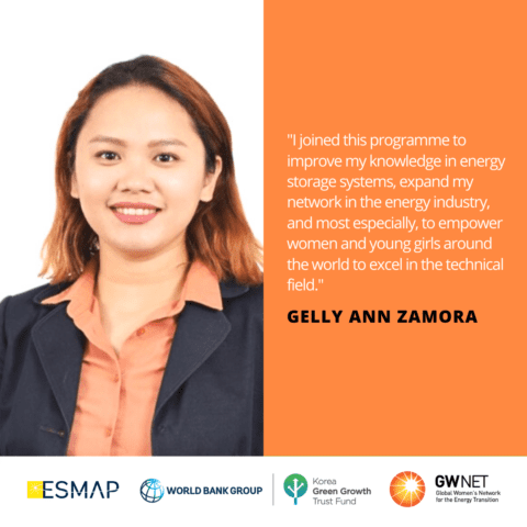 Gelly Zamora Energy Storage Quote