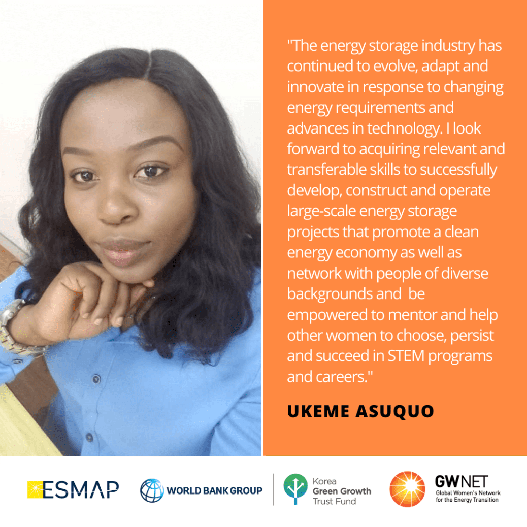 Ukeme Asuquo Energy Storage Quote