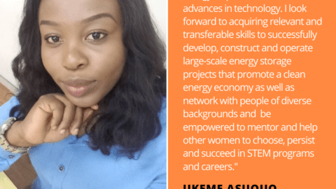 Ukeme Asuquo Energy Storage Quote