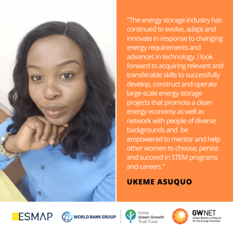 Ukeme Asuquo Energy Storage Quote