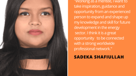 Sadeka Shafiullah Energy Storage Quote