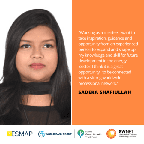 Sadeka Shafiullah Energy Storage Quote