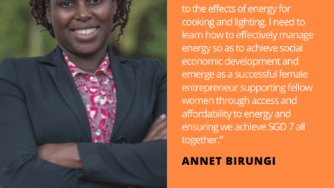 Annet Birungi Energy Storage Quote