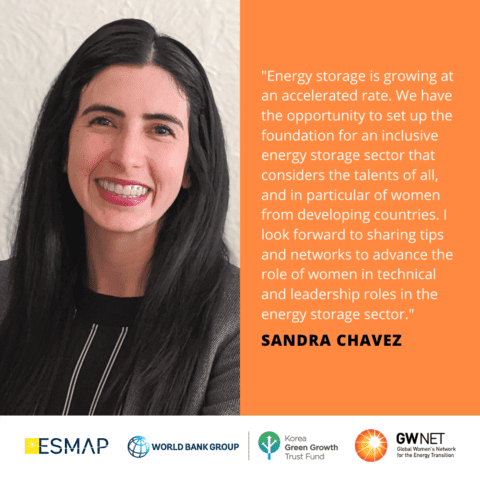 Sandra Chavez Energy Storage Quote