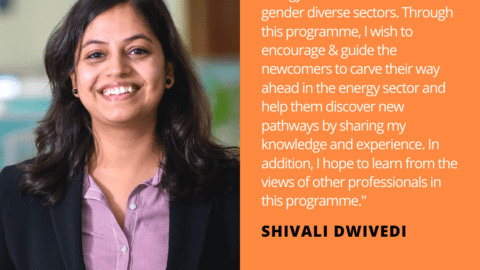 Shivali Dwivedi Energy Storage Quote