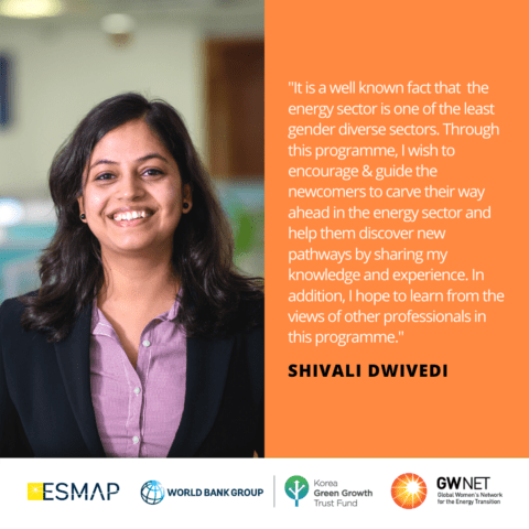 Shivali Dwivedi Energy Storage Quote