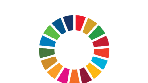 Applying gender lenses to the interlinkages and synergies between SDGs