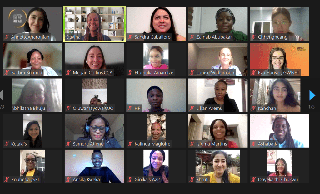 Screenshot from WICC kick-off webinar