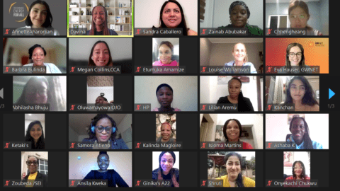 Screenshot from WICC kick-off webinar