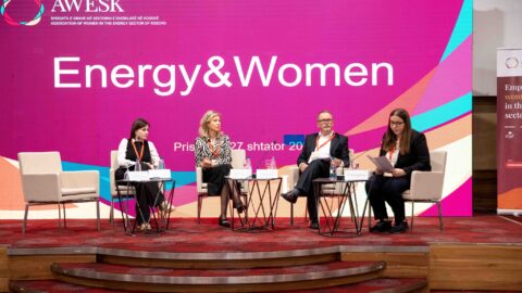Four panelists on stage, with event poster in the background