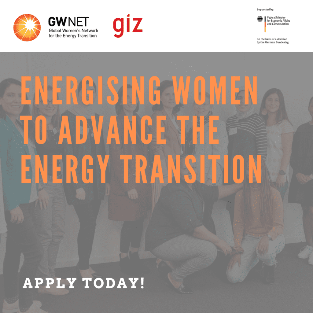 Application poster with organiser logos at the top. Image of women is overlayed by the mentorship programme name