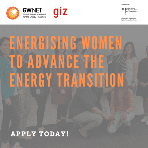 Application poster with organiser logos at the top. Image of women is overlayed by the mentorship programme name