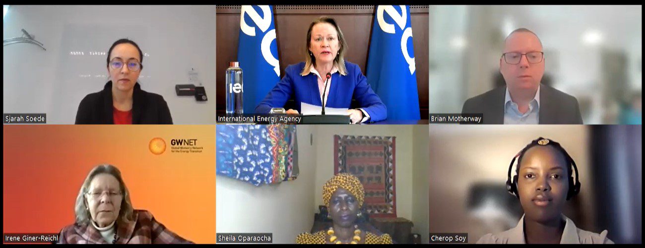 Addressing the Gender Dimensions of Clean Energy Transitions Screenshot of speakers